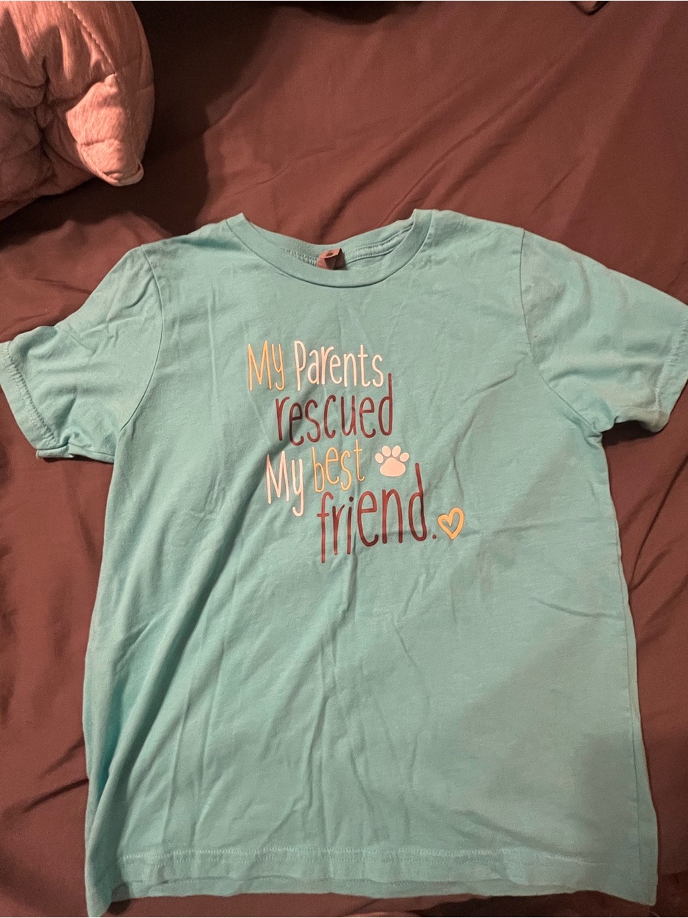Next Level Apparel Aqua Short-Sleeve Tee with Rescue Pet Message